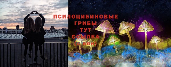 молекула духа Магадан