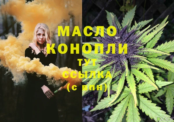 молекула духа Магадан